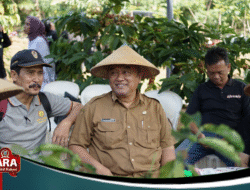 DINSKOP RENCANAKAN FESTIVAL KOPI PASURUAN