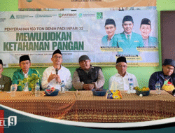 Peduli Ketahanan Pangan, Ansor Jatim Bagikan Benih Padi INPARI-32 di Malang