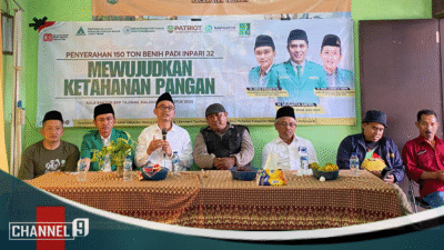 Peduli Ketahanan Pangan, Ansor Jatim Bagikan Benih Padi INPARI-32 di Malang