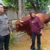 Wabup Sidoarjo Hj. Mimik Idayana Sembelih 7 Sapi, Bagikan 4.000 Paket Daging Kurban di Candi