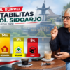 Pasca Suksesi Kepemimpinan, Peta Politik Sidoarjo Bergeser: PKB Bertahan, Gerindra-Golkar Naik, PDIP Menurun